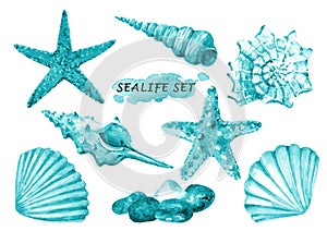 Watercolor sealife set with seashells, starfish and stones.