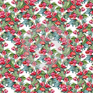 Watercolor seamless art abutilon flowers. Seamless pattern, digital paper, fabric design, surface design