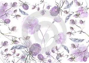 Watercolor seamless background floral pattern. grass and plant flowers, burdock, thistle, alga, wild herbs. Floral pattern, Illust