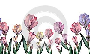 Watercolor seamless banner with flowers colorful