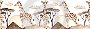 Watercolor seamless border with giraffes in savannah at sunset with clouds, acacia, sun photo