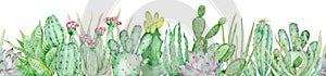 Watercolor seamless border of green cactuses. Endless header with tropical plants and pink flowers.