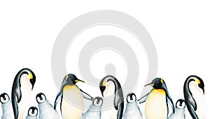 Watercolor seamless border with king penguin family isolated. Hand painting realistic Arctic and Antarctic ocean mammals