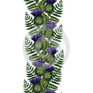 Watercolor seamless border of thistle and fern, wild flowers illustration, meadow herbs. Hand painted illustration for