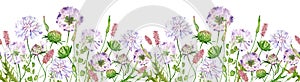 Watercolor seamless border with wildflowers, scabious flowers. Filed flowers header.