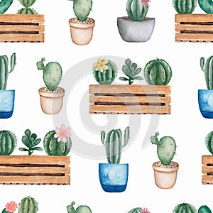 Watercolor seamless Cacti flower pattern.Hand-drawn background with cactus and succulents. Green house plants in the  pots