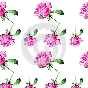 Watercolor seamless floral pattern with pink roses