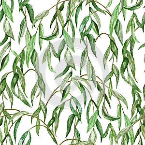 Watercolor seamless hand drawn pattern with green willow leaves branch leaf. Elegant vintage background with forest