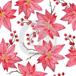 Watercolor seamless hand drawn pattern with pink red poinsettia flower, Christmas star plant conifer pine spruce