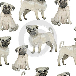 Watercolor seamless hand drawn pattern with pugs dogs breed isolated on white background. Funny cute cartoon pet animals