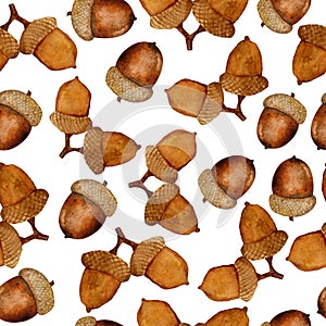 Watercolor seamless hand drawn pattern with vintage brown fall autumn acorns from oak tree on white isolated background