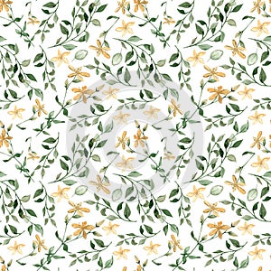 Watercolor seamless multidirectional pattern with flowers, leaves, branches, foliage of St. John`s wort on a white background