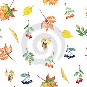 Watercolor seamless pattern with autumn elements.