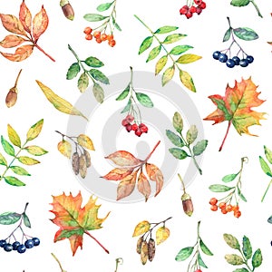 Watercolor seamless pattern with autumn elements.