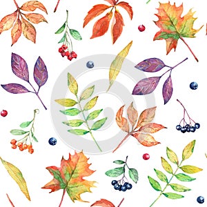 Watercolor seamless pattern with autumn elements.