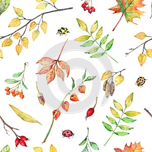 Watercolor seamless pattern with autumn elements.