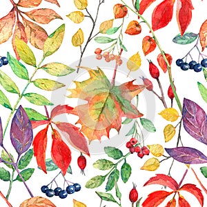 Watercolor seamless pattern with autumn elements.