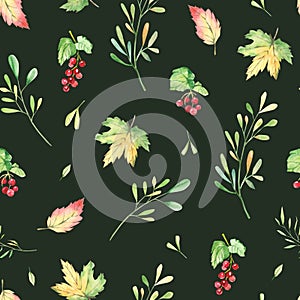 Watercolor seamless pattern autumn,  fall ornament with leaves, branches and barries. Greenery floral  on dark background for wedd