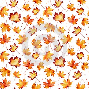 Watercolor seamless pattern with autumn maple leaves isolated on white background