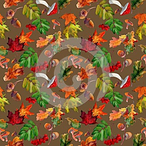 Watercolor seamless pattern with autumn red rowan, yellow maple foliage, oak leaves, acorns on brown background.