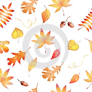 Watercolor seamless pattern with autumnal colorful leaves