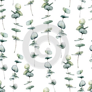 Watercolor seamless pattern with baby blue eucalyptus. Hand painted eucalyptus round leaves and branch isolated on white