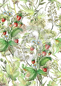 Watercolor seamless pattern, background with a floral pattern. Beautiful vintage drawings of plants, flowers,willow branch, berry