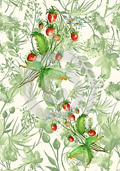 Watercolor seamless pattern, background with a floral pattern. Beautiful vintage drawings of plants, flowers,willow branch, berry