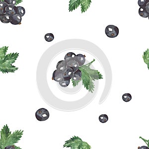 Watercolor seamless pattern with blackcurrant berries on branches with leaves for textures and prints