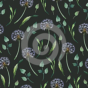 Watercolor seamless pattern. Blowball with leaves on dark background
