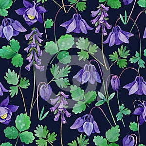 Watercolor seamless pattern with blue aquilegia spring flowers.