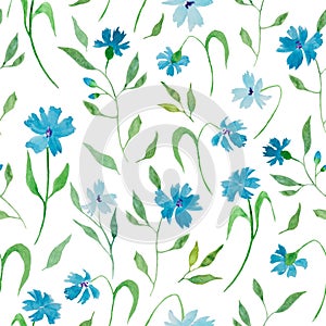 Watercolor seamless pattern with blue flowers, cornflowers. Hand drawing floral background