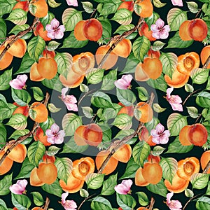 Watercolor seamless pattern of branch with apricot, green leaves isolated on black. Painting fruit tree, fruitage hand