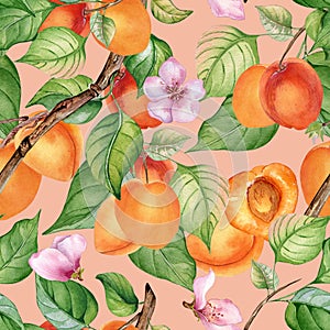 Watercolor seamless pattern of branch with apricot, green leaves isolated on pink. Painting fruit tree, fruitage hand
