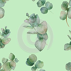 Watercolor seamless pattern branches of eucalyptus medicinal silver