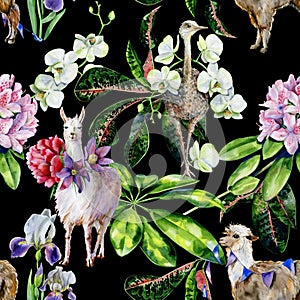 Watercolor pattern of alpaca, llama and ostrich with orchids, rhododendron