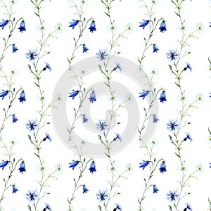 Watercolor seamless pattern of Chamomile, Bluebell Flower, , Cornflower, isolated on a white background.