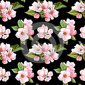 Watercolor seamless pattern of cherry flowers and leaves. Floral repeating pattern hand drawn apple blossom branch