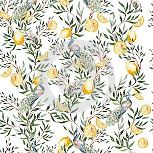 Watercolor seamless pattern with citrus and leaves, bird peacoc.