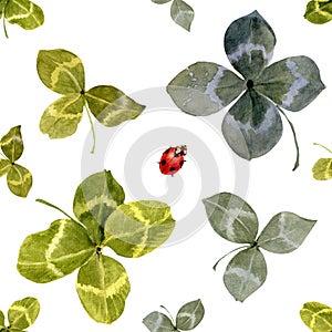 Watercolor seamless pattern, clover leaves and red beetle with black spots. hand draw leaves for St Patrick's day