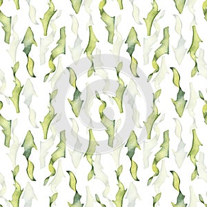 Watercolor seamless pattern of colorful laminaria illustration isolated on white. Kelp, seaweeds hand drawn. Painted