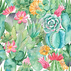 Watercolor seamless pattern with compositions of succulents, flowers.