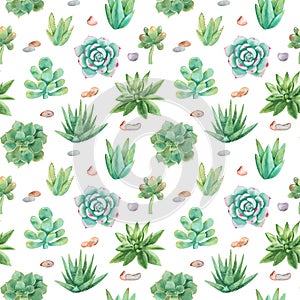 Watercolor seamless pattern with compositions of succulents, flowers.