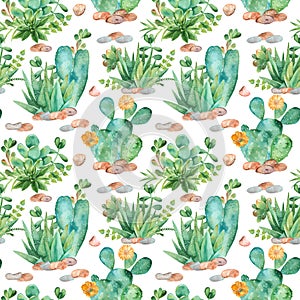 Watercolor seamless pattern with compositions of succulents, flowers.