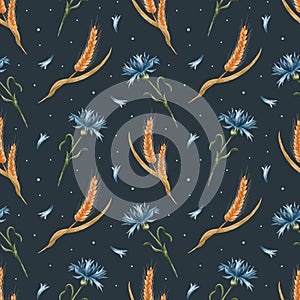 Watercolor seamless pattern with cornflowers and wheat. Yellow ears of wheat and blue cornflowers on dark blue.