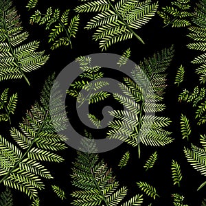 Watercolor Seamless pattern with different  ferns