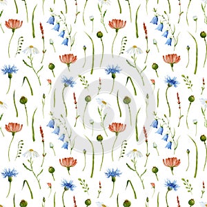 Watercolor seamless Pattern with different wild Flowers. Cute hand drawn Background with Meadow plants for fabric and