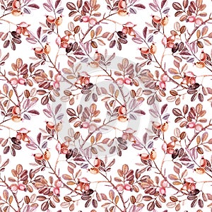 Watercolor seamless pattern with Dog Rose branches photo