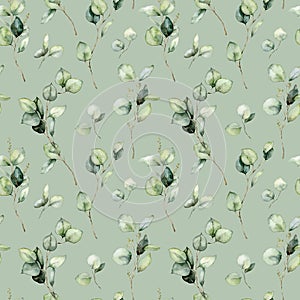 Watercolor seamless pattern of eucalyptus branches, seeds and leaves. Hand painted plants isolated on light green