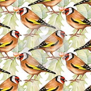 Watercolor seamless pattern of European goldfinch and holly isolated on white.